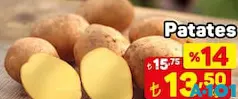 PATATES KG fiyat ve kampanya bilgisi